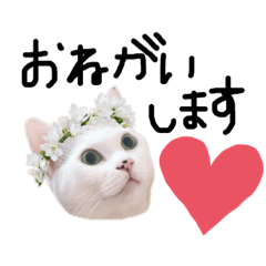 [LINEスタンプ] 我が家のアイドル(MIX)