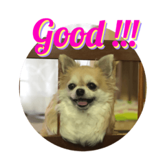 [LINEスタンプ] モモ②