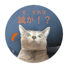 [LINEスタンプ] ルネさんの日常的に使える可愛いスタンプ 1