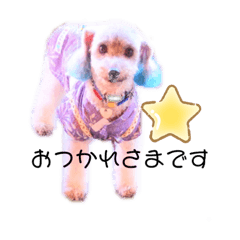 [LINEスタンプ] たけこたスタンプ