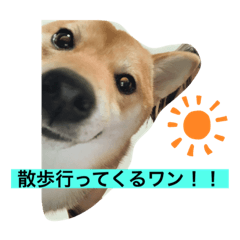 [LINEスタンプ] ちくわちゃん ❷