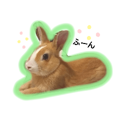 [LINEスタンプ] うさぎの若