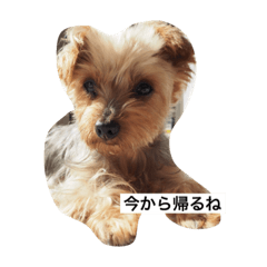 [LINEスタンプ] あんすけのゆるかお