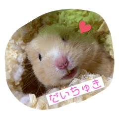 [LINEスタンプ] わさおの日常(  '-'   )
