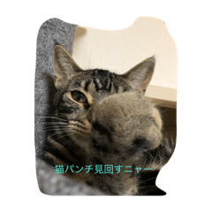 [LINEスタンプ] ginganeko