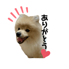 [LINEスタンプ] フウチャンスタンプ