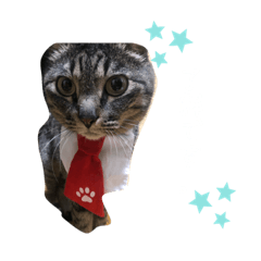 [LINEスタンプ] my best meichan