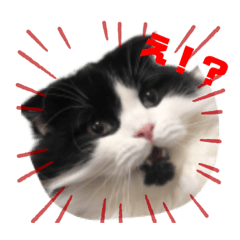 [LINEスタンプ] ピゲ様