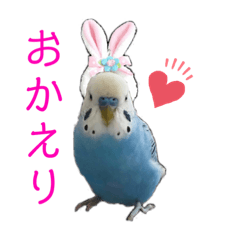 [LINEスタンプ] ぴーちゃんpart2