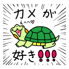 [LINEスタンプ] のんきなカメのみどりちゃん2☆☆