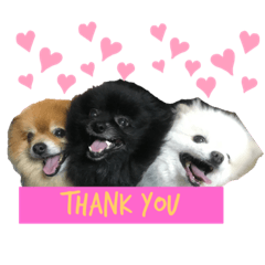 [LINEスタンプ] 小林さんちの犬
