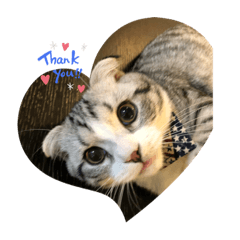[LINEスタンプ] 蘭丸まる5