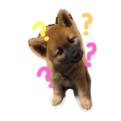 [LINEスタンプ] アキたん