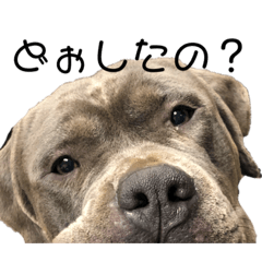 [LINEスタンプ] ones...