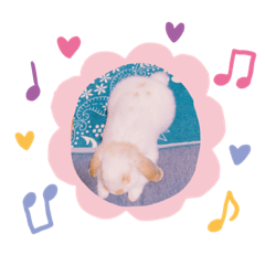 [LINEスタンプ] うさココ