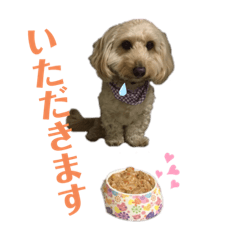 [LINEスタンプ] MaroKuri