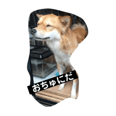 [LINEスタンプ] ソララサン