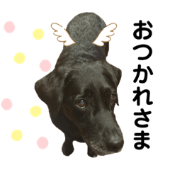 [LINEスタンプ] Labrador retriever ❤︎ 2
