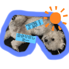 [LINEスタンプ] マルオ cute dog
