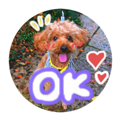[LINEスタンプ] RUAくんの日常