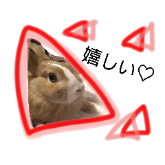 [LINEスタンプ] うさぎの若2