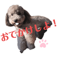 [LINEスタンプ] わたしの可愛いベラちゃん❤️