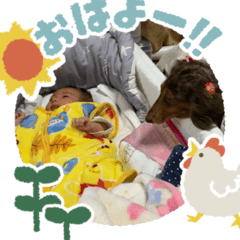 [LINEスタンプ] 犬まみれ！可愛いわんちゃん大集合！