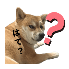 [LINEスタンプ] とっぷとたび2