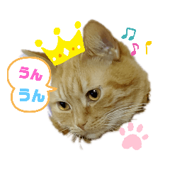 [LINEスタンプ] わが家のキング2