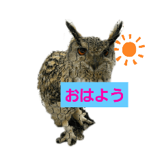 [LINEスタンプ] 動物のあいさつ♡