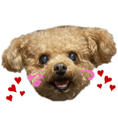 [LINEスタンプ] Nattsuすたんぷ