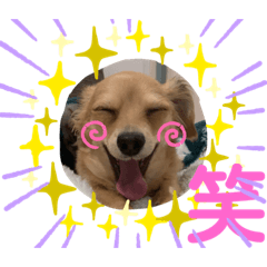 [LINEスタンプ] チワックス もずくちゃんのスタンプpart2