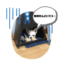 [LINEスタンプ] かわゆい犬スタンプ