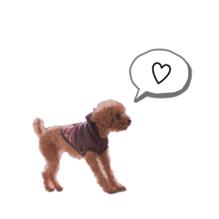 [LINEスタンプ] トイプードルのりんごちゃん。2