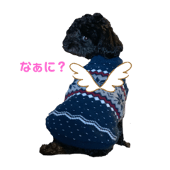 [LINEスタンプ] 黒プー達②