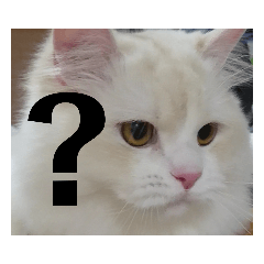 [LINEスタンプ] ラガマフィンのさすけ ひらがな