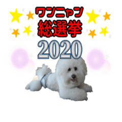 [LINEスタンプ] ワンニャン総選挙