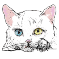 [LINEスタンプ] にゃんコの一言