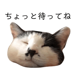 [LINEスタンプ] たったこの日常