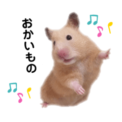 [LINEスタンプ] ごもくとめんまのスタンプ