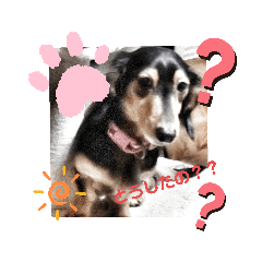 [LINEスタンプ] さっちゃん＆アーリー2