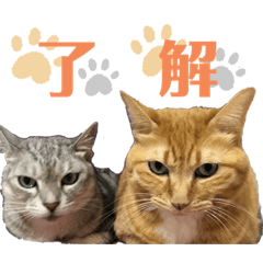 [LINEスタンプ] ひなあんどみおスタンプ
