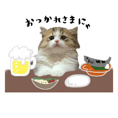[LINEスタンプ] ぼくミヌえもん