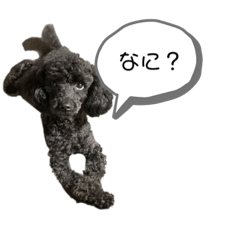 [LINEスタンプ] モカ・レイの日常