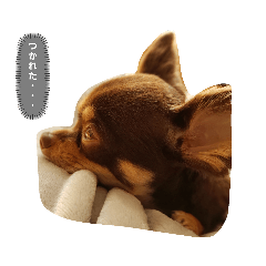 [LINEスタンプ] むぎころ
