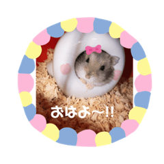 [LINEスタンプ] ペットのスタンプ。