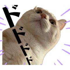 [LINEスタンプ] ハルハナ3