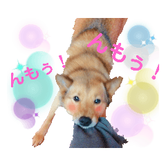 [LINEスタンプ] 雑種犬ラウルPart2