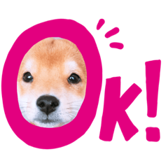 [LINEスタンプ] たろスタンプ 日常編