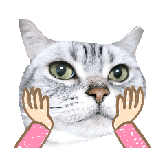[LINEスタンプ] あらたのとりこ